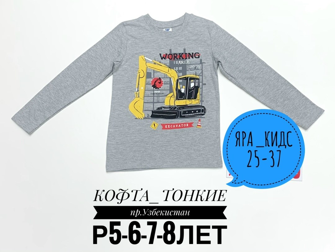 футболки для мальчика,лонгслив для мальчика,детская кофта,джемпер детский,комплект футболки