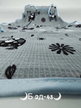 Одежда