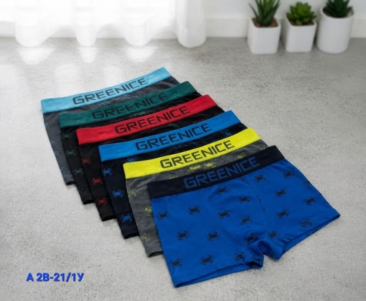 greenice мужские трусы боксеры 2 штуки бесшовные,greenice трусы мужские,greenice трусы боксеры бесшовные мужские,комплект трусов боксеры greenice,трусы боксеры greenice