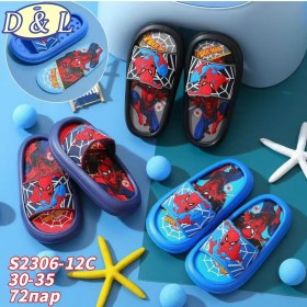 Сланцы