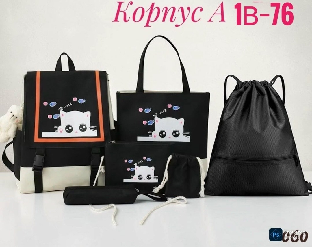 комплект сумка,комплект рюкзак сумка пенал,набор с рюкзаком,рюкзак набор школьный,набор сумок