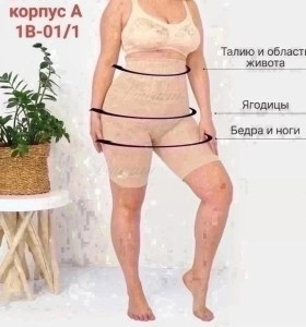 Одежда