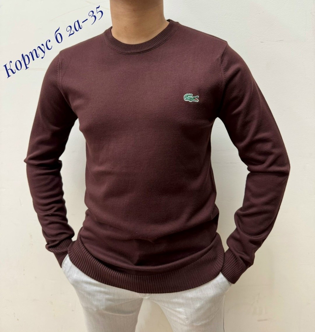 джемпер lacoste,белый свитер лакоста мужской,джемпер лакост белый мужской,джемпера мужские,мужская мода