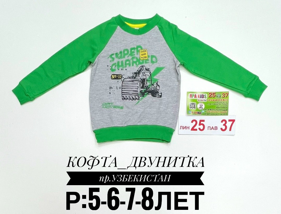 толстовка трикотажная для мальчика,толстовка для мальчика,кофта толстовка,джемпер детский,джемпер для мальчика