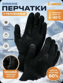 Одежда