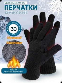 Одежда