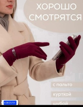 Одежда