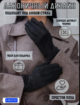 Одежда