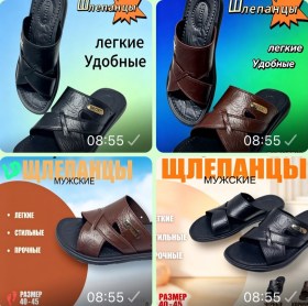 Сланцы