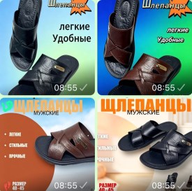 Сланцы