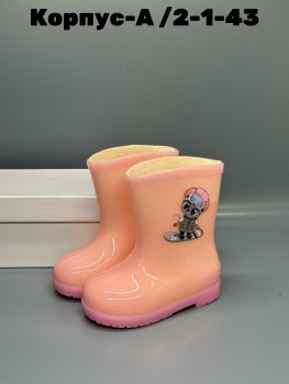 Сапоги