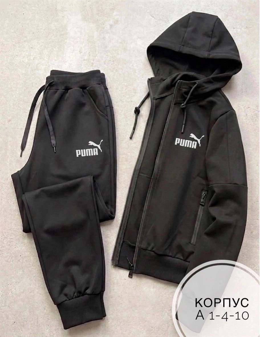 мужской спортивный костюм puma,спортивный костюм "puma",демисезонные спортивные костюмы puma,костюм puma,костюм мужской puma
