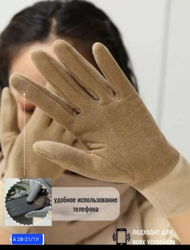 Одежда