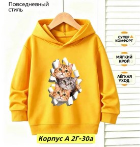 Толстовка