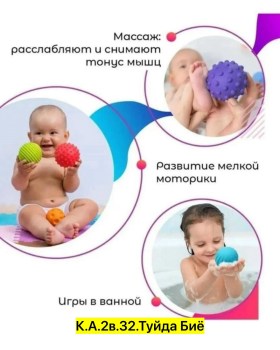 Одежда