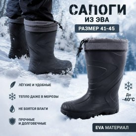Сапоги
