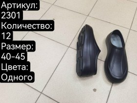 Сланцы