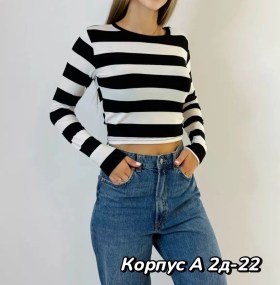 Свитшот