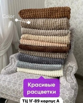 Одежда