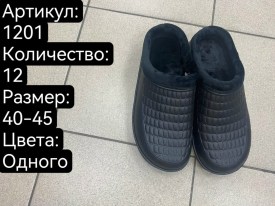 Сланцы