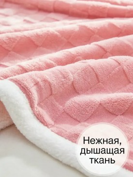 Одежда