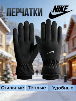 Одежда