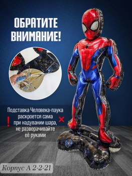 Одежда