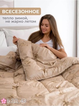 Одежда