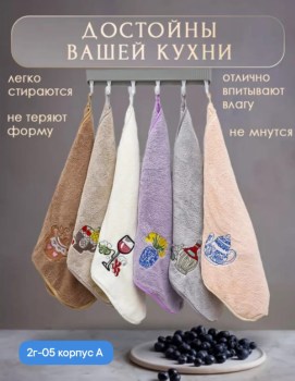 Одежда