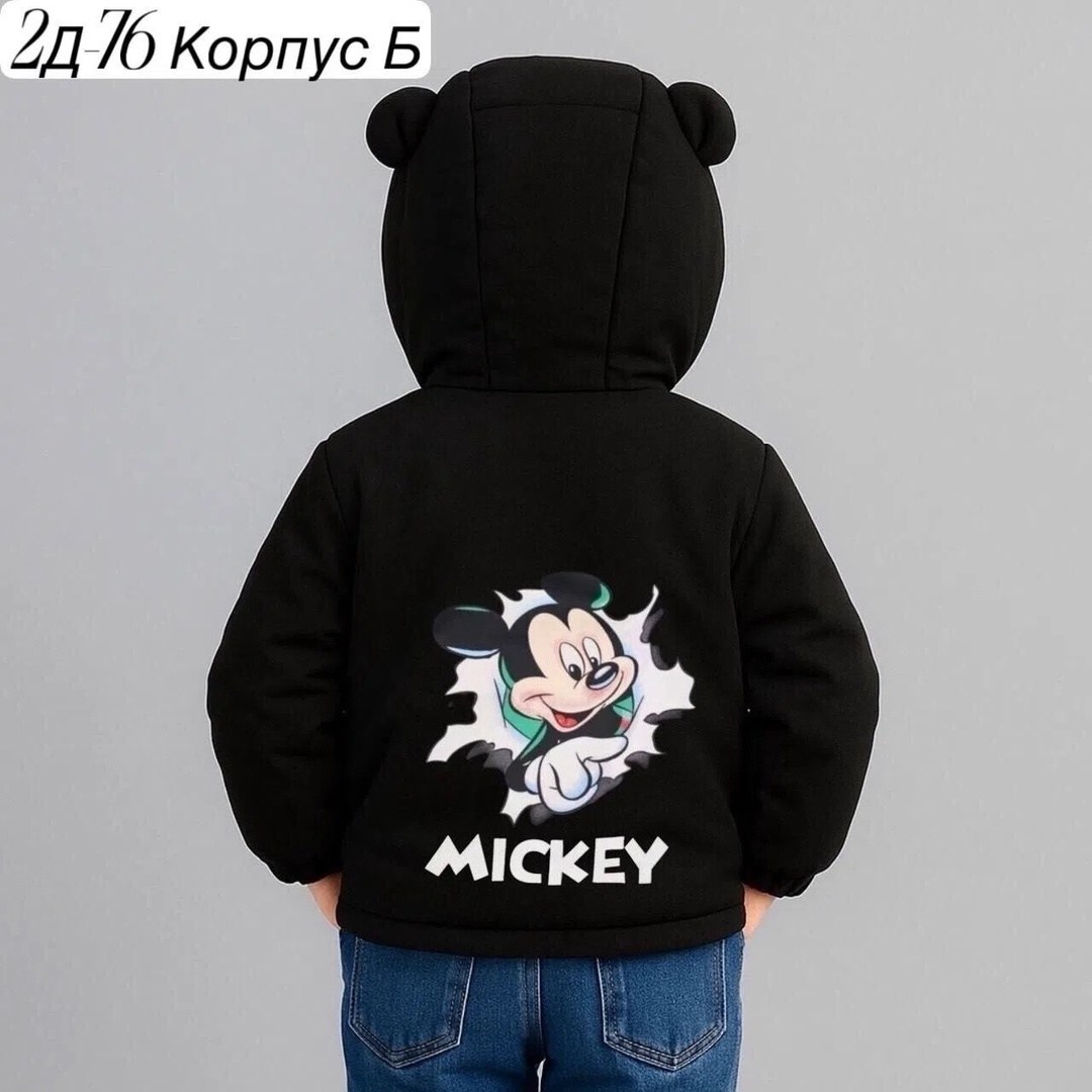 куртка для мальчика демисезонная,куртка для мальчика,куртка демисезонная,куртка для детей,ветровка куртка для мальчика