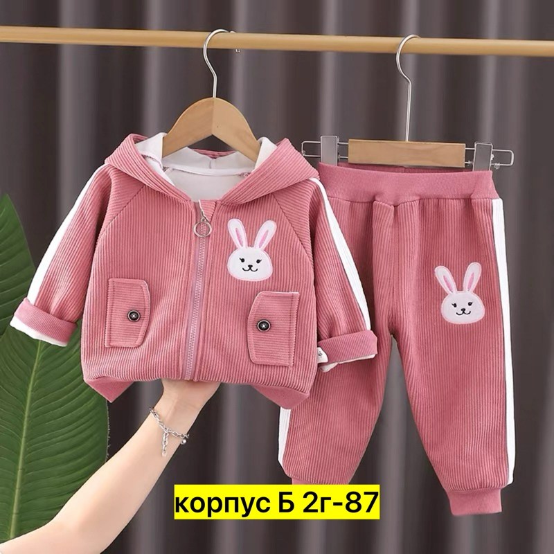 комплект одежды девочке,комплект одежды детский,костюмчик,детский костюм,комплект одежды moocie