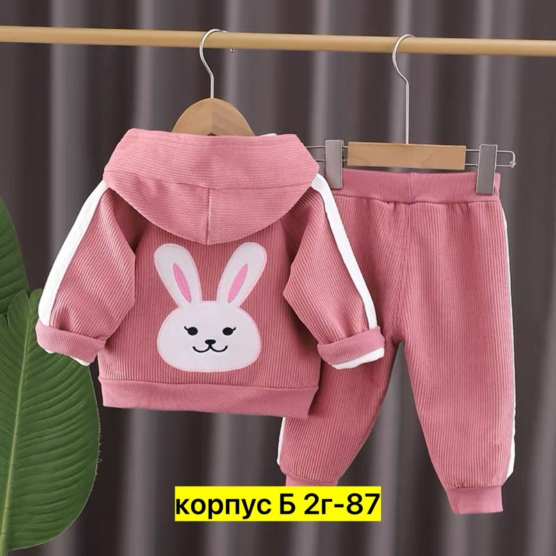 комплект одежды девочке,комплект одежды детский,костюмчик,детский костюм,комплект одежды moocie