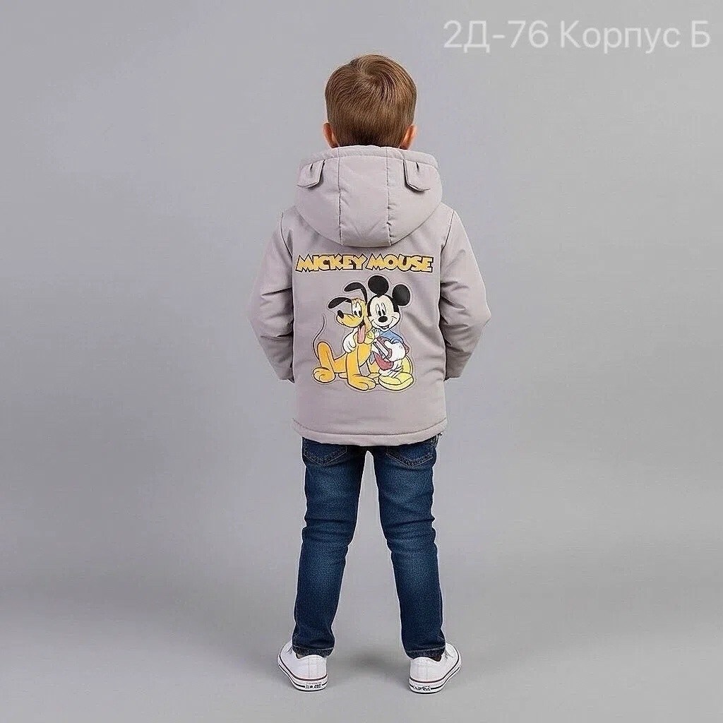 куртка для мальчика демисезонная,куртка для мальчика,куртка демисезонная,куртка для детей,ветровка куртка для мальчика