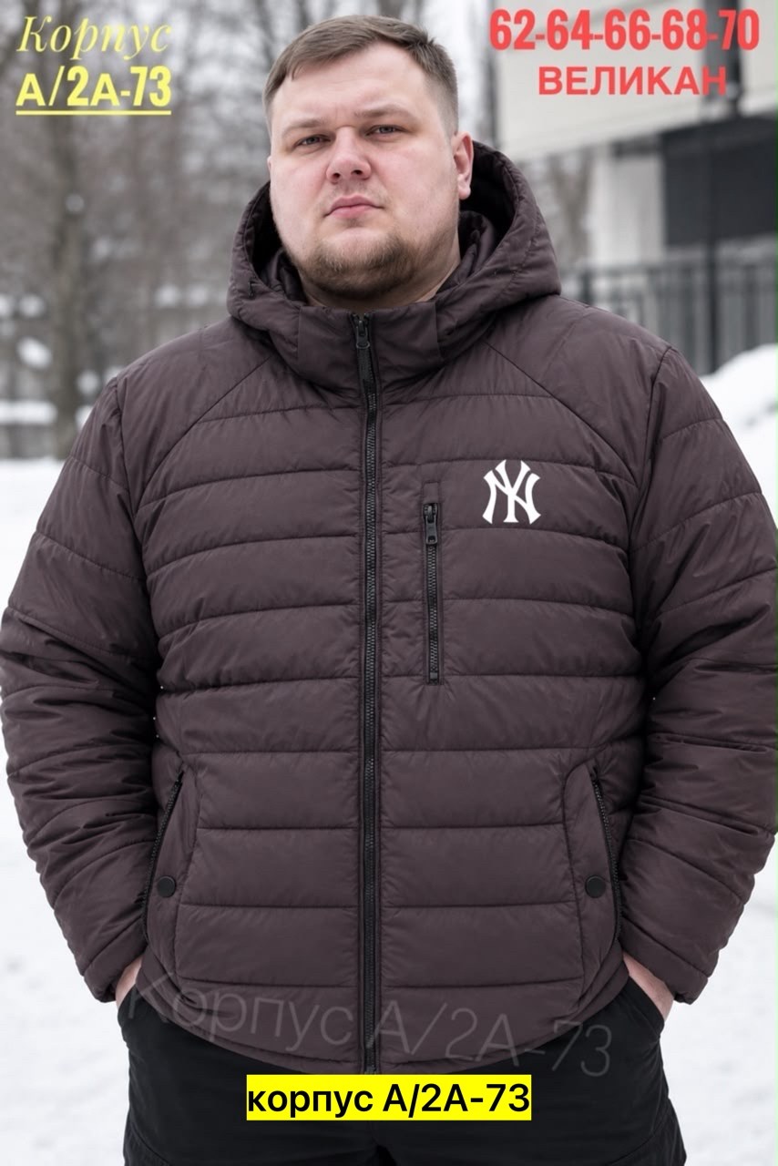 мужские пуховики the north face,мужские куртка the north face himalayan down parka,пуховик the north face,куртка north face,мужская куртка the north face rmst himalayan parka