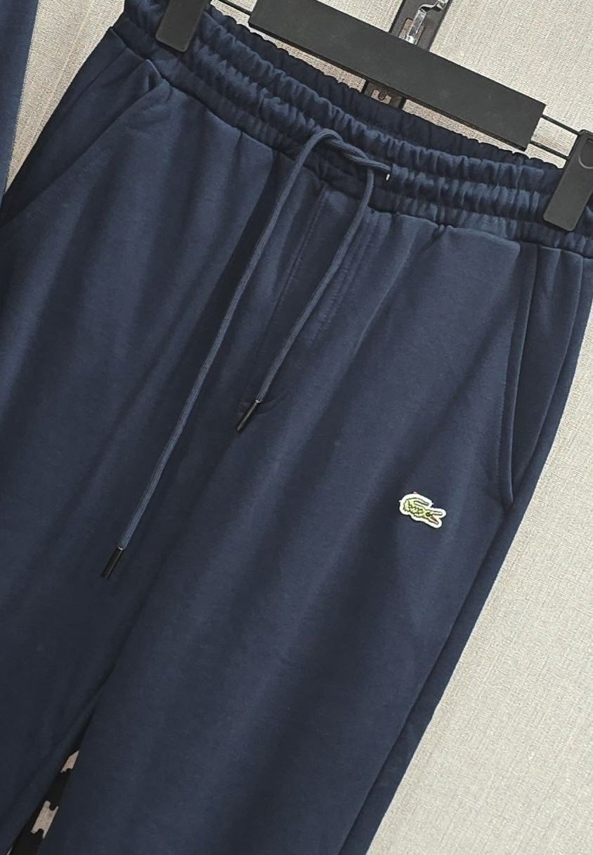 мужской спортивный костюм,спортивный костюм lacoste,спортивные костюм,костюм повседневный спортивный