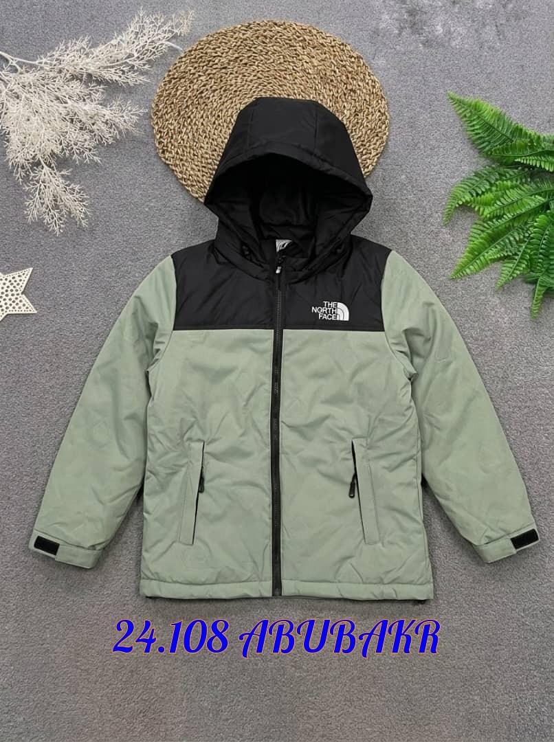 зимние куртки,куртка,куртка для мальчика the north face,детская куртка,куртка для мальчика