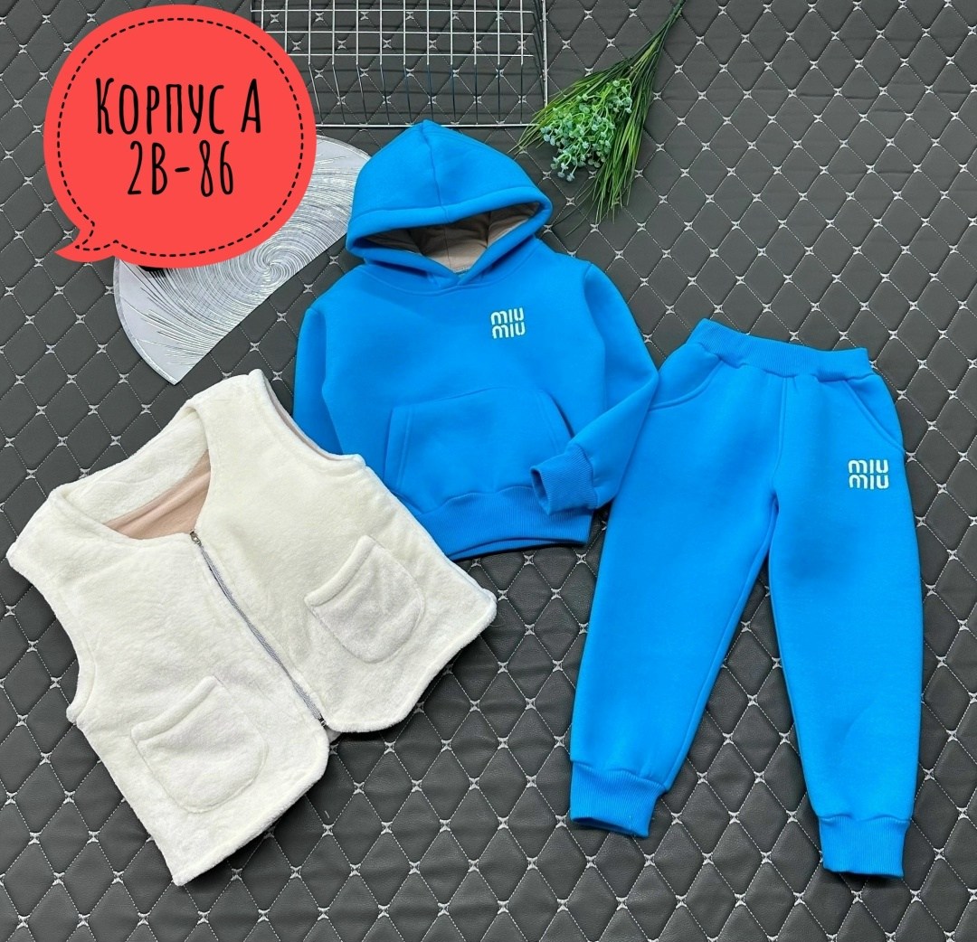 костюм тройка с начесом,детский костюм,костюм тройка,с начесом костюм,жилет детский