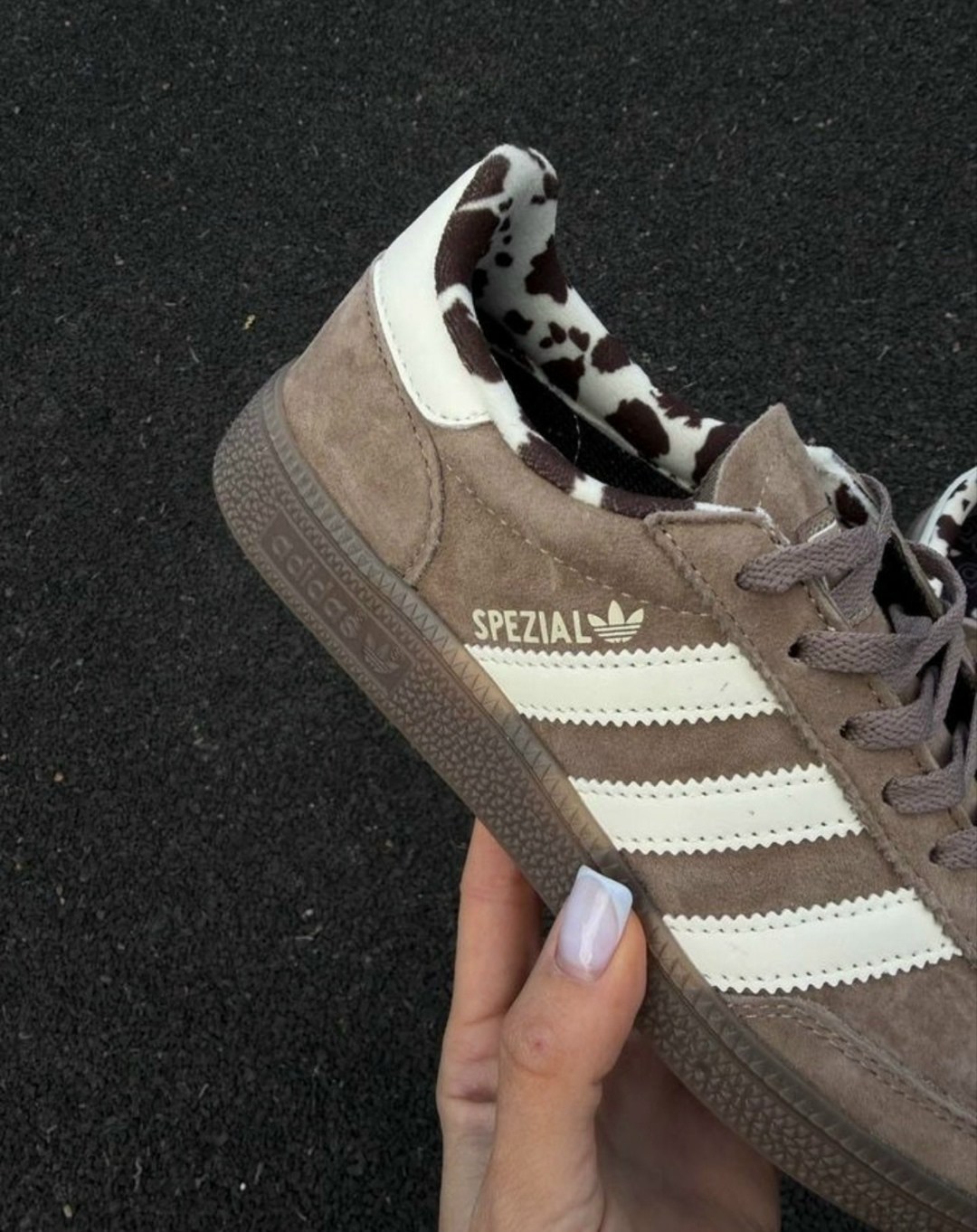 кроссовки adidas spezial,кроссовки adidas handball spezial,adidas originals handball spezial,adidas handball spezial,