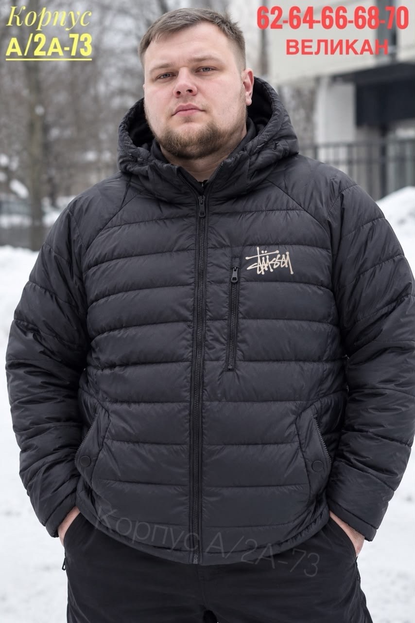 пуховик the north face 700 nuptse черный,пуховик the north face 1996 nuptse black,мужская куртка the north face himalayan down parka,мужские пуховики the north face,куртка мужская the north face