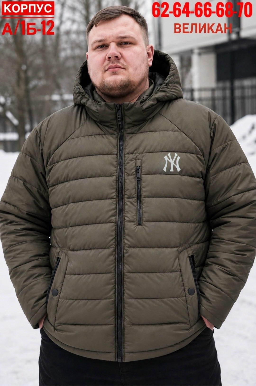 куртка мужская зимняя,пуховик the north face,пуховики мужские,зимняя куртка,мужской пуховик the north face