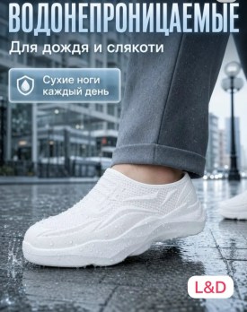 Сланцы