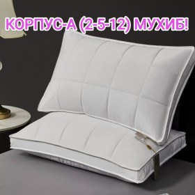 Одежда