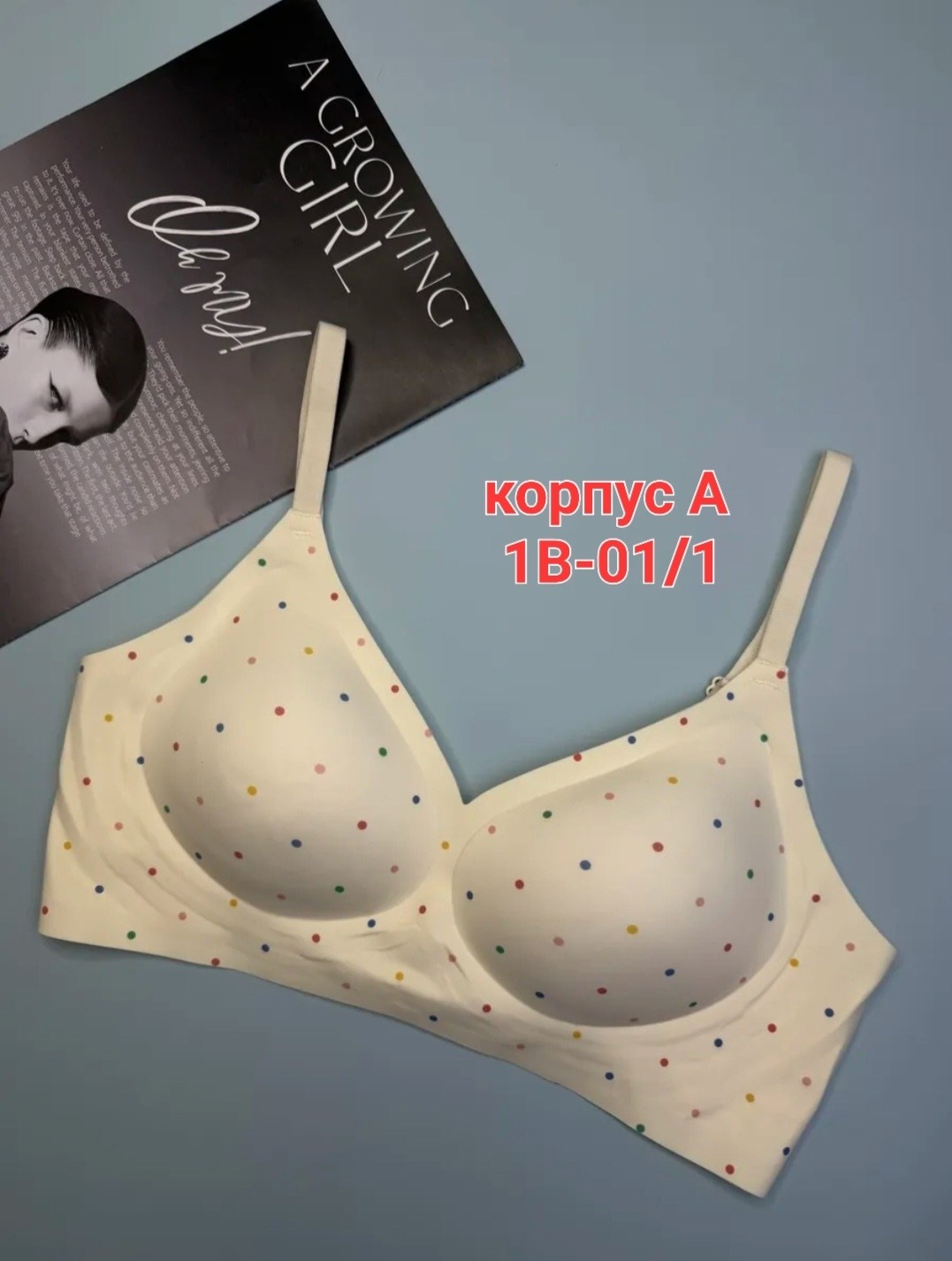 бюстгальтер,бюстгальтер комплект,бюстгальтер женские,бюстье,бесшовные бюстгальтеры