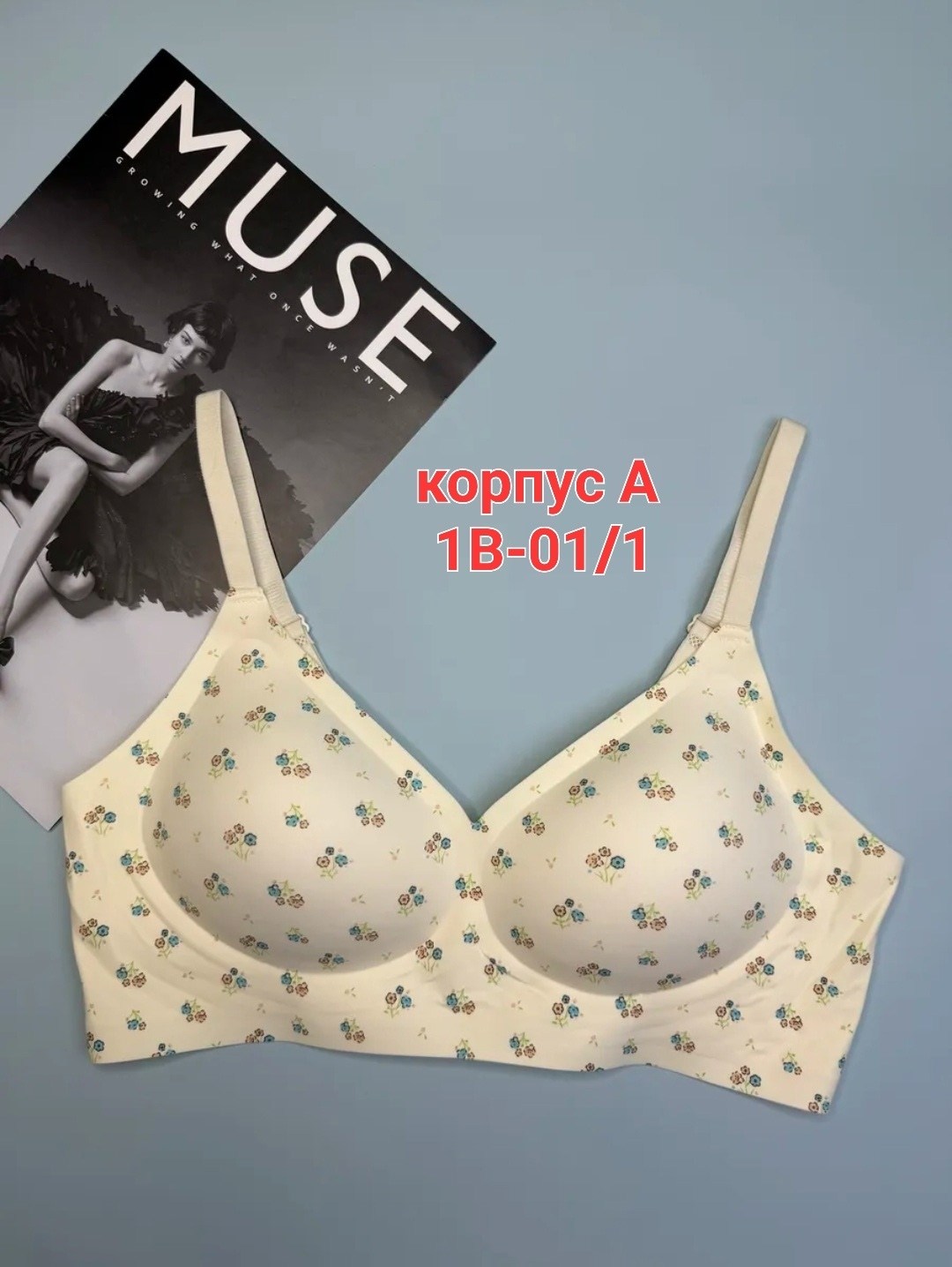 бюстгальтер,бюстгальтер комплект,бюстгальтер женские,бюстье,бесшовные бюстгальтеры