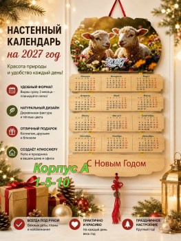 Одежда