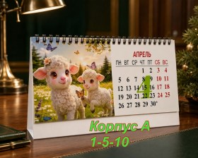 Одежда