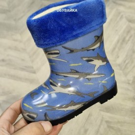 Сапоги