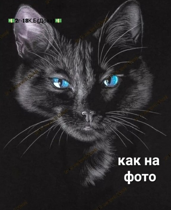 черное платье с принтом,платье женская,туника женская,платье женское с принтом,летнее платье mf