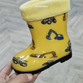 Сапоги