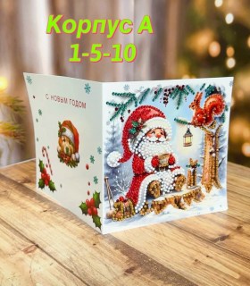 Одежда